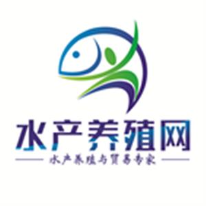 南京網絡科技公司大全 互聯網大數據 異合信息科技網